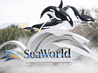 Sea World