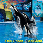  SeaWorld - Busch Gardens