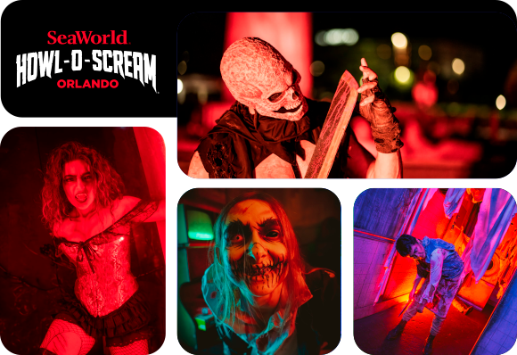 SWHowlOScream