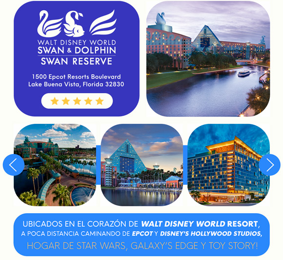 Swan and Dolphin
