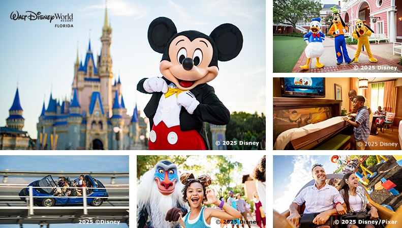 Walt Disney World