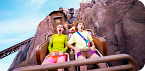 Walt Disney World Resort