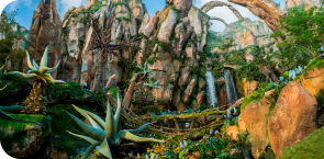 Walt Disney World Resort