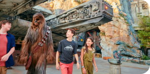 Walt Disney World Resort