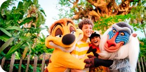 Walt Disney World Resort