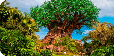 Walt Disney World Resort