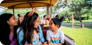 Walt Disney World Resort