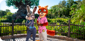 Walt Disney World Resort